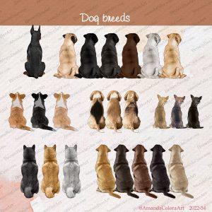 dog breeds
