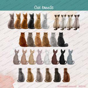 cat breeds