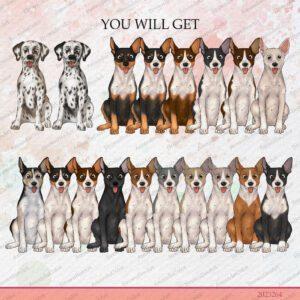 Dog Sitting Clipart – Set 7, Cute Animals Illustration 5 dog clipart