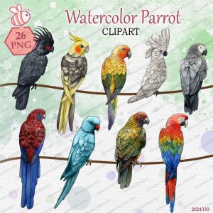 Parrot Clipart