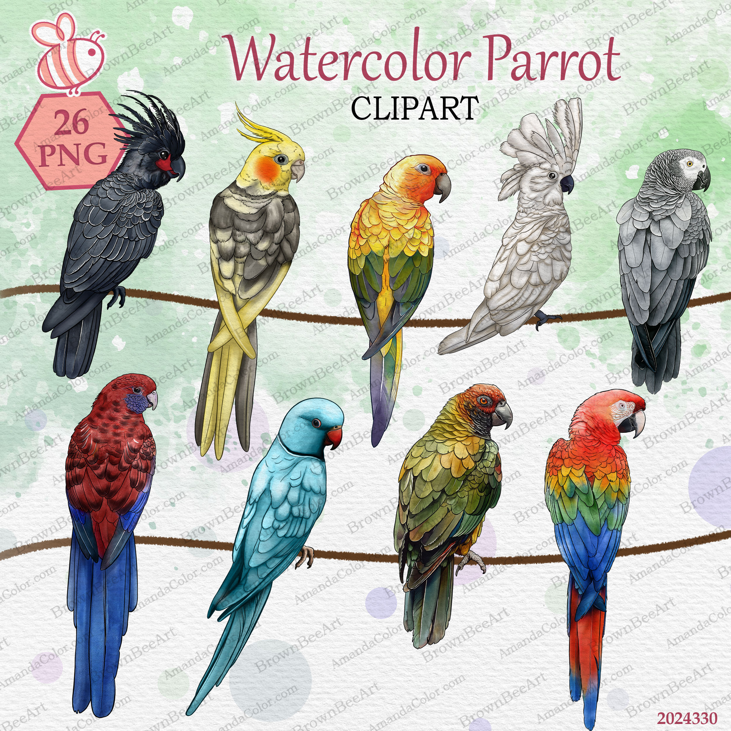 Parrot Clipart Parrot Clipart