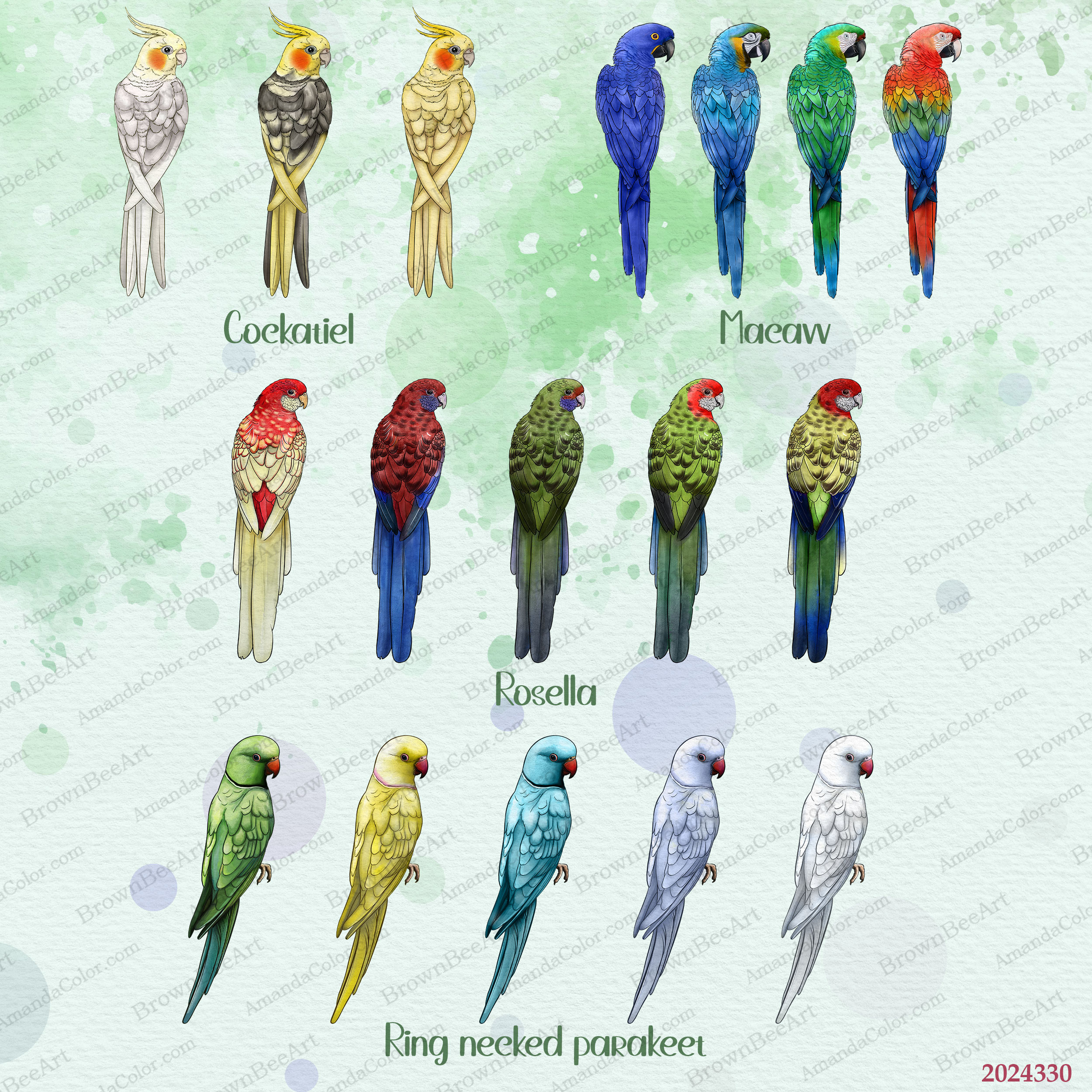 Parrot Clipart Parrot Clipart