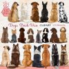 Dog Clipart From Back, Dog Breeds clipart, Back View Dog png, Digital Download 3 Dog Breeds clipart